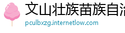 文山壮族苗族自治州必威体育苹果app